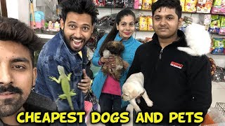 CHEAPEST DOGS  Sanjhalika Vlog [upl. by Phil]