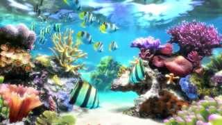 Sim Aquarium  Screensaver amp Live Wallpaper  SimAquariumcom [upl. by Soiritos132]