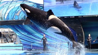 Orca Encounter Full Show  SeaWorld Orlando  March 1 2023 [upl. by Jollanta]