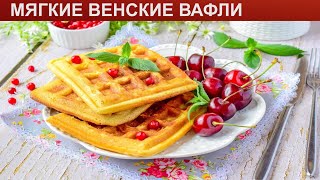 КАК ПРИГОТОВИТЬ МЯГКИЕ ВЕНСКИЕ ВАФЛИ Простые и вкусные классические венские вафли на молоке [upl. by Idnar]