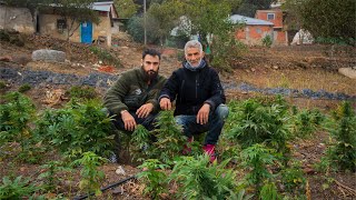 Viví con un PRODUCTOR de HACHÍS en Marruecos [upl. by Suhpesoj]