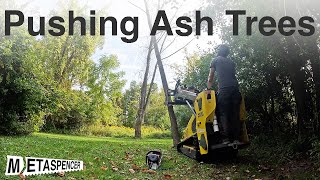 Pushing Ash Trees [upl. by Aloisius590]