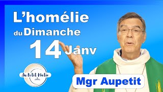 Évangile et homélie du Dimanche 14 Janvier  Avec Mgr Aupetit [upl. by Agnew]