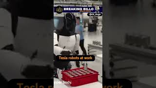 quotTesla robots at work Watch Optimus bots in actionquot [upl. by Tsenrae]