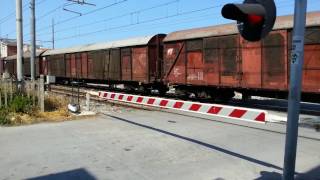 TRENI Il passaggio a livello  Silvi Marina HD [upl. by Maurie]