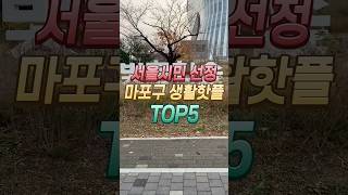 서울시민 선정 마포구 TOP5 생활핫플 EP01 마포새빛문화숲 핫플 핫플레이스 골목길 mapo 마포구 마포새빛문화숲 [upl. by Kress801]