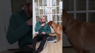 How I Taught My Dog Kiss [upl. by Icnarf]