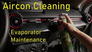 How to Clean your Cars Evaporator  Air Conditioning System [upl. by Nellir]