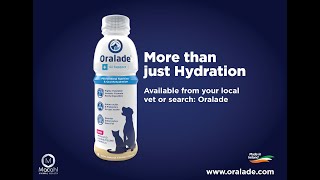 Oralade GI Support UK [upl. by Nylemaj]