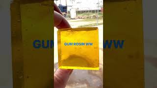 GUM ROSIN COLOPHONY MADE BY VINHCONSHIP GROUP [upl. by Lebatsirc739]