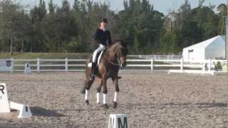 World Dressage Masters  Additional Warm Up Footage [upl. by Juliette]