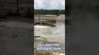 Yellowstone eruption [upl. by Favianus]