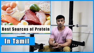 Best Foods for Protein In Tamil  Muscle building amp Fat Loss  புரோட்டின் சிறந்த உணவுகள் [upl. by Christmas]