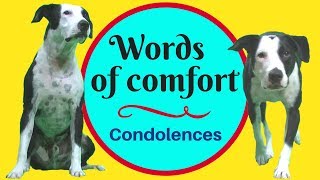 Words of sympathy and comfort  expressing condolences in English [upl. by Boffa]