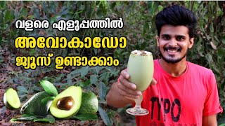 🥑🥤How To Make Avocado Juice Easy in Malayalam  Avocado Juice Recipe  Butter Fruit Juice [upl. by Nnylcaj92]