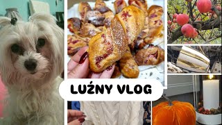 WEEKLY VLOG  PRZEPIS NA MALINIANKI amp przegląd nowego sklepu NOME🤭🍁 [upl. by Peddada]