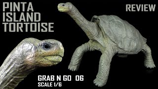 Rebor ™ Grab N Go Pinta Island Tortoise  Lonesome George  Galapagos Riesenschildkröte  GNG 06 [upl. by Ardnahs42]