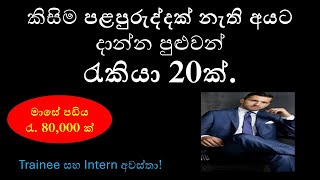 Top Job Vacancies in Sri Lanka for August 2024 Dont Miss Out [upl. by Gascony]