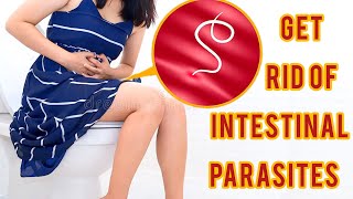 10 Home Remedies To Get Rid Of Intestinal Parasites [upl. by Enelehs]