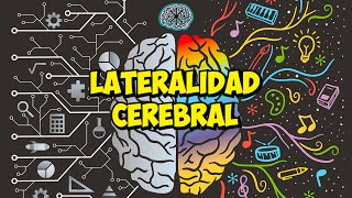 ESPECIALIZACIÓN FUNCIONAL de los HEMISFERIOS DEL CEREBRO  LATERALIDAD CEREBRAL [upl. by Bartko]