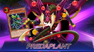 FULL POWER PURE PREDAPLANTS Predaplant Core Card at 3  Rank Season 25  YuGiOh Master Duel [upl. by Oiludbo565]