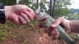 Hyde Farm Pond Bass Fishing [upl. by Pellegrini783]