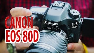 Обзор фотоаппарата Canon EOS 80D [upl. by Eened]