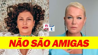 Cortes Live NT  CHATEADA Bárbara Borges volta a desabafar sobre relação com Xuxa [upl. by Beffrey]