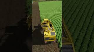 Harvesting Parsnip fs22 farmingsimulator22 farming parsnip youtubeshorts [upl. by Ramsdell990]