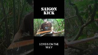 Love Is On The Way  Saigon Kick shorts [upl. by Zeuqcaj]