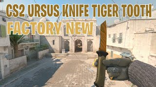 Ursus Knife Tiger Tooth  CS2 Skin Showcase 267 [upl. by Hgielsa]