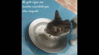 Sigue con hambre [upl. by Kaufman]