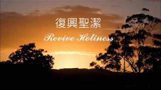 復興聖潔鋼琴曲 The Piano Solo of Revive Holiness [upl. by Orapma]