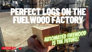 Day 133  Fuelwood Factory POWER Best logs on the market [upl. by Haila824]