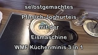 PfirsichJoghurtEis selbst herstellen mit der Eismaschine von WMF Küchenminis 3 in 1 [upl. by Ahsela403]