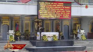 Friday Novena Mass  November 15 2024  930 AM Mass [upl. by Einej]