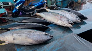 Live 05 Nov 24‼️🔥Activity of cutting tuna and various types of fresh fish at the Sorong fish market [upl. by Notnilk]