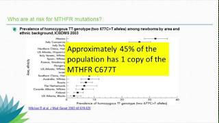 MTHFR and Thyroid Disorders with Dr Ben Lynch and Dr Alan Christianson [upl. by Shulins]