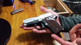 SIG P238 quick view and disassemblyassembly [upl. by Nepsa41]