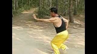 Bajiquan Jingang Bashi 八极拳金刚八式 [upl. by Hagile983]