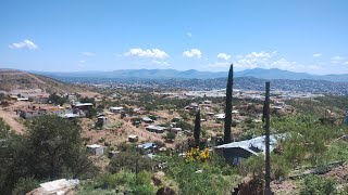 Bisitando Gallera Platano Game Farm en sierra de Nogales sonora [upl. by Ubald]