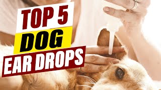 Effective Dog Ear Drops Soothe and Heal Ear Infections [upl. by Woody]