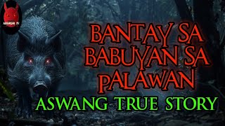 Bantay Sa Babuyan Sa Palawan  Aswang True Story [upl. by Inami]