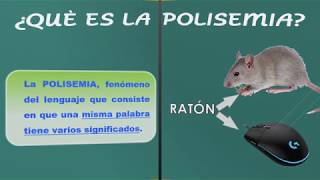 REPASO MONOSEMIA Y POLISEMIA [upl. by Ahsenar508]