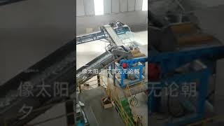 cullet color sortex machine glass recycling 2 [upl. by Erdnuaed]