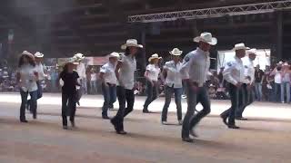 ONE HUNDRED  Line Dance  Wild Country in Voghera 2017 [upl. by Raye674]