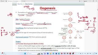 GENERAL EMBRYOLOGY Oogenesis [upl. by Legnaleugim78]