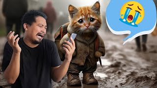 AI Cat Stories  Sad Meow Meow Song Meme Compilation 2024 [upl. by Draw820]