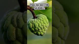 Chirimoya La Fruta Tropical Que Transforma Tu Salud beneficiosparalasalud [upl. by Ecnal]