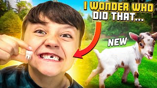 Got New Goats amp then Shawns TOOTH got PULLED out 🦷🦶 FV Family Farm Vlog [upl. by Mckenzie89]